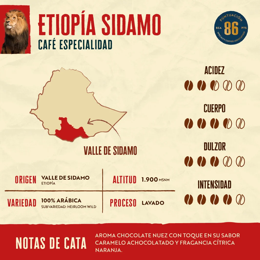 Cafe En Grano Etiopia Sidamo 500 Grs (Tueste Medio) - Outlet Del Cafe - Imagen 2